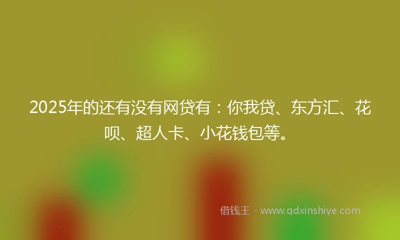 2025年的还有没有网贷有：你我贷、东方汇、花呗、超人卡、小花钱包等。