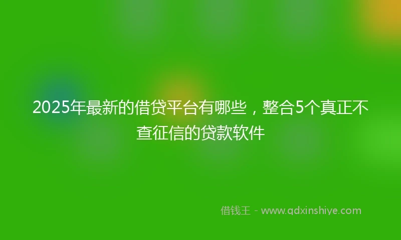 2025年最新的借贷平台有哪些，整合5个真正不查征信的贷款软件