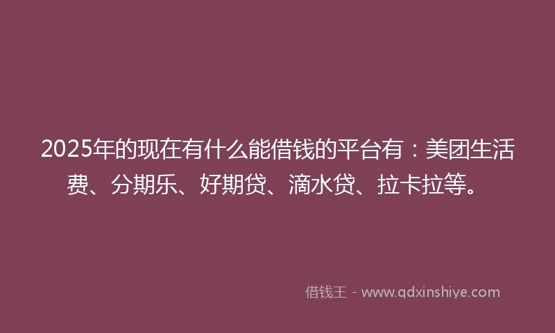 2025年的现在有什么能借钱的平台有：美团生活费、分期乐、好期贷、滴水贷、拉卡拉等。