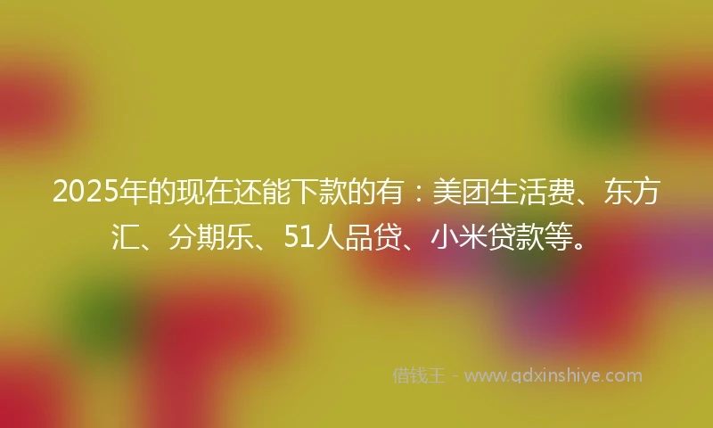 2025年的现在还能下款的有：美团生活费、东方汇、分期乐、51人品贷、小米贷款等。