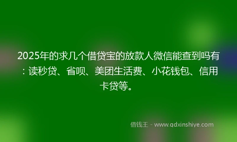 2025年的求几个借贷宝的放款人微信能查到吗有：读秒贷、省呗、美团生活费、小花钱包、信用卡贷等。