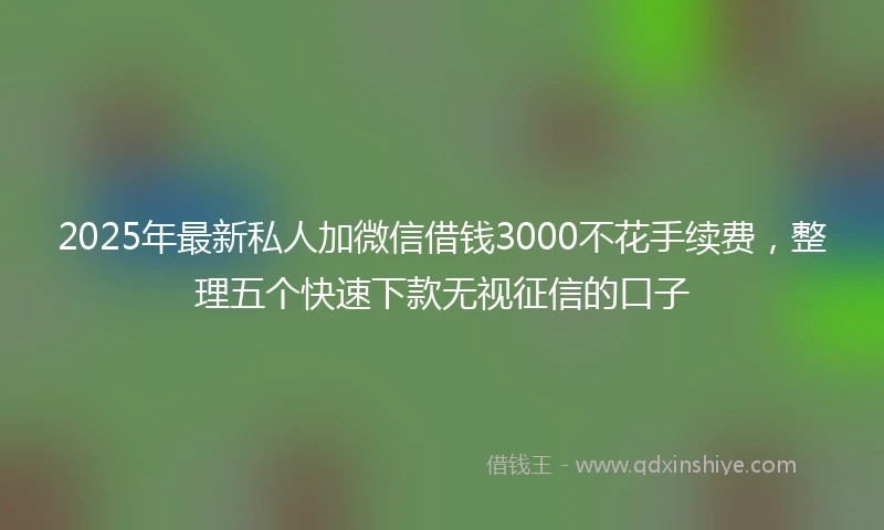 2025年最新私人加微信借钱3000不花手续费，整理五个快速下款无视征信的口子