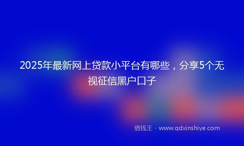 2025年最新网上贷款小平台有哪些，分享5个无视征信黑户口子