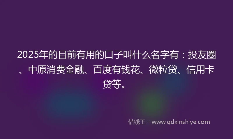 2025年的目前有用的口子叫什么名字有：投友圈、中原消费金融、百度有钱花、微粒贷、信用卡贷等。