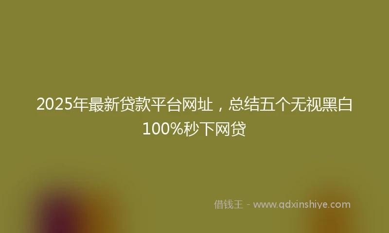 2025年最新贷款平台网址,总结五个无视黑白100%秒下网贷