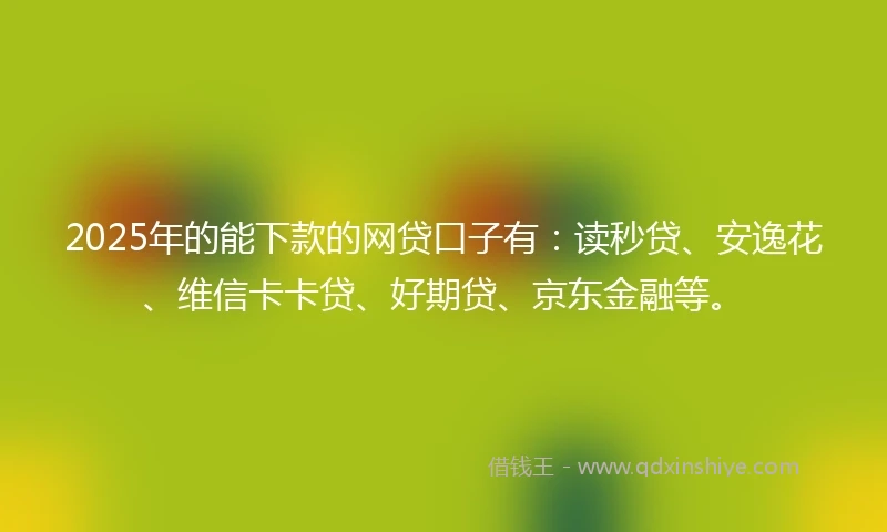 2025年的能下款的网贷口子有：读秒贷、安逸花、维信卡卡贷、好期贷、京东金融等。