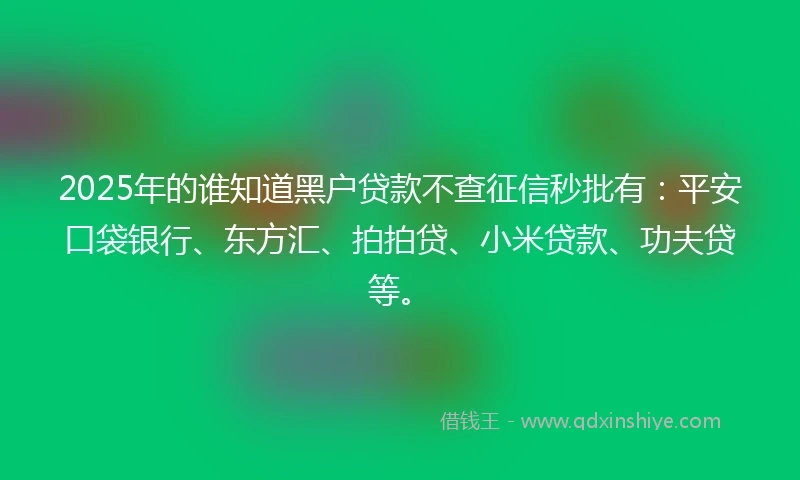 2025年的谁知道黑户贷款不查征信秒批有:平安口袋银行、东方汇、拍拍贷、小米贷款、功夫贷等。