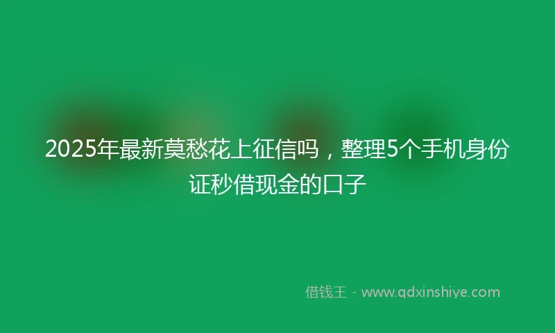 2025年最新莫愁花上征信吗，整理5个手机身份证秒借现金的口子