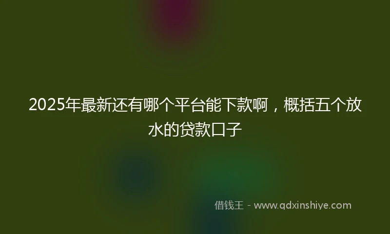 2025年最新还有哪个平台能下款啊，概括五个放水的贷款口子