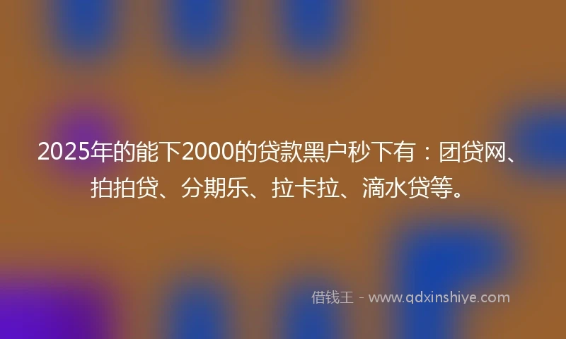 2025年的能下2000的贷款黑户秒下有：团贷网、拍拍贷、分期乐、拉卡拉、滴水贷等。