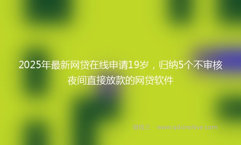 2025年最新网贷在线申请19岁，归纳5个不审核夜间直接放款的网贷软件