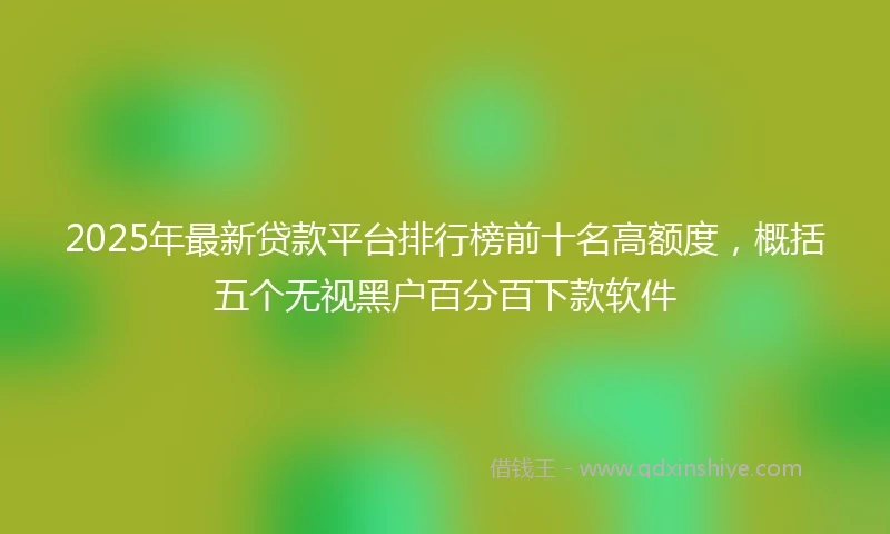 2025年最新贷款平台排行榜前十名高额度，概括五个无视黑户百分百下款软件