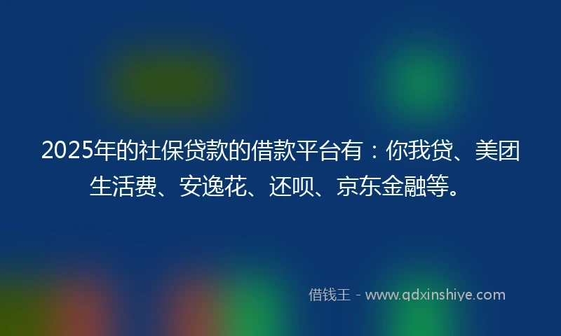 2025年的社保贷款的借款平台有：你我贷、美团生活费、安逸花、还呗、京东金融等。