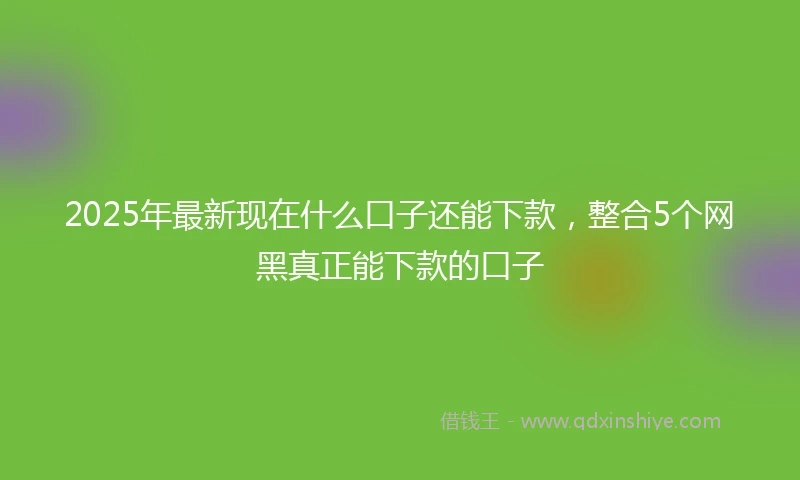 2025年最新现在什么口子还能下款，整合5个网黑真正能下款的口子