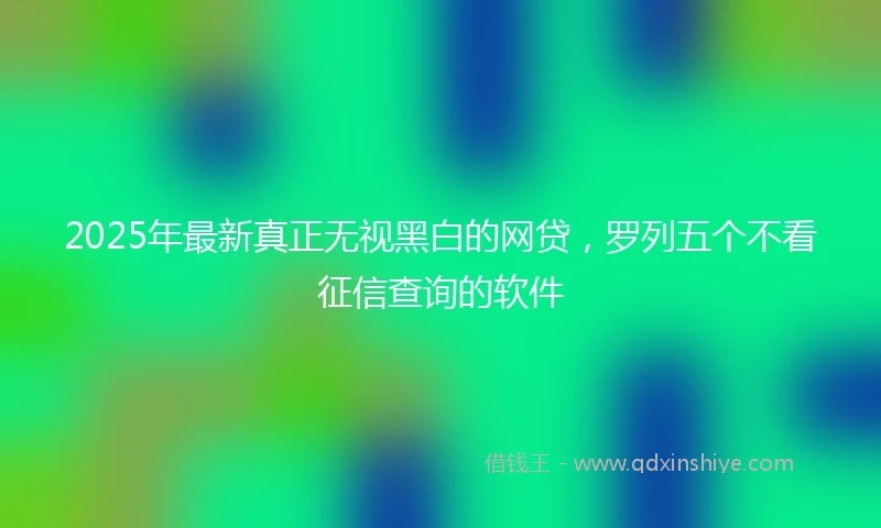 2025年最新真正无视黑白的网贷，罗列五个不看征信查询的软件