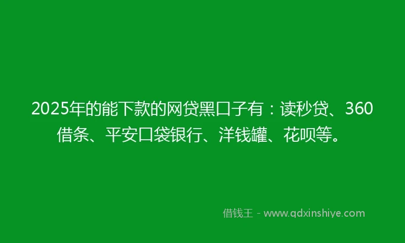 2025年的能下款的网贷黑口子有：读秒贷、360借条、平安口袋银行、洋钱罐、花呗等。