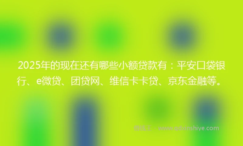 2025年的现在还有哪些小额贷款有：平安口袋银行、e微贷、团贷网、维信卡卡贷、京东金融等。