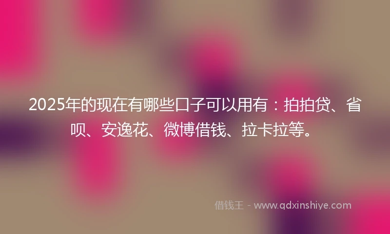 2025年的现在有哪些口子可以用有：拍拍贷、省呗、安逸花、微博借钱、拉卡拉等。