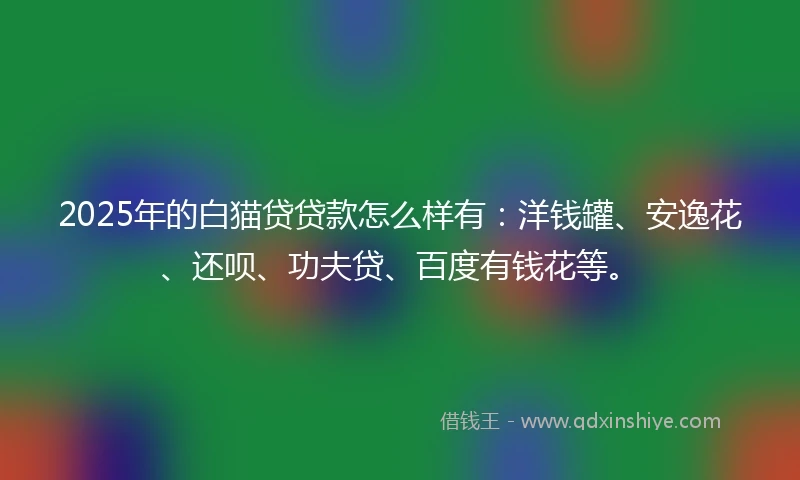 2025年的白猫贷贷款怎么样有：洋钱罐、安逸花、还呗、功夫贷、百度有钱花等。