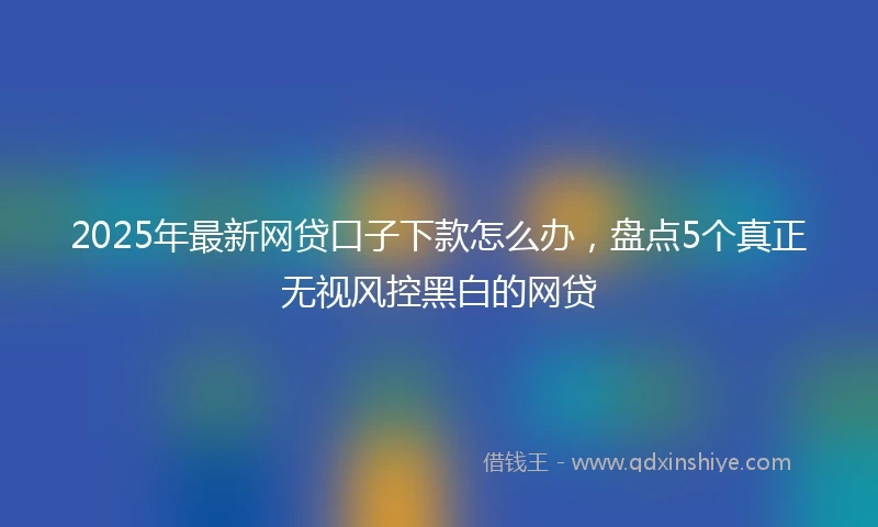 2025年最新网贷口子下款怎么办，盘点5个真正无视风控黑白的网贷