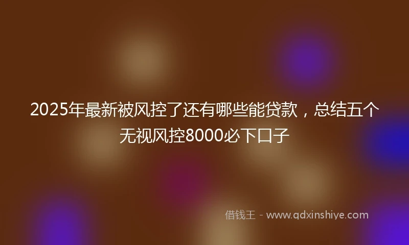 2025年最新被风控了还有哪些能贷款，总结五个无视风控8000必下口子