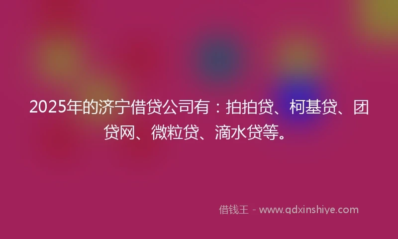2025年的济宁借贷公司有：拍拍贷、柯基贷、团贷网、微粒贷、滴水贷等。