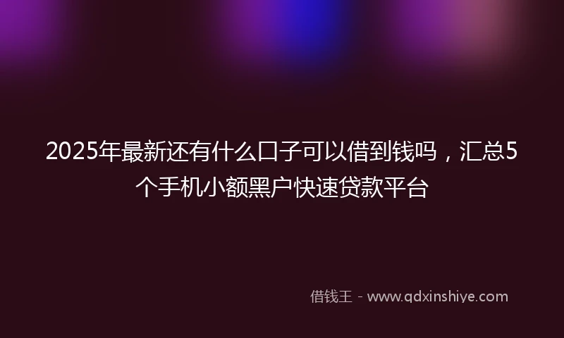 2025年最新还有什么口子可以借到钱吗，汇总5个手机小额黑户快速贷款平台