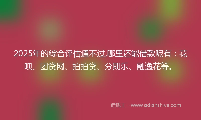 2025年的综合评估通不过,哪里还能借款呢有：花呗、团贷网、拍拍贷、分期乐、融逸花等。