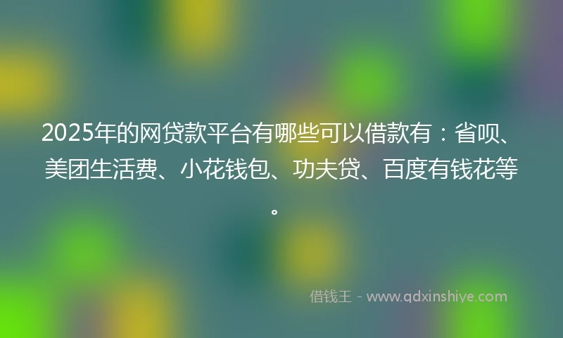 2025年的网贷款平台有哪些可以借款有：省呗、美团生活费、小花钱包、功夫贷、百度有钱花等。