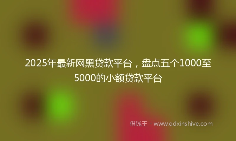 2025年最新网黑贷款平台，盘点五个1000至5000的小额贷款平台