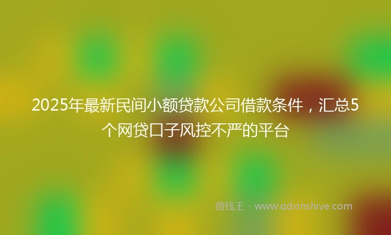 2025年最新民间小额贷款公司借款条件，汇总5个网贷口子风控不严的平台