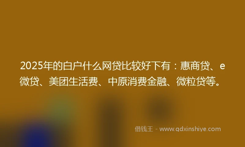 2025年的白户什么网贷比较好下有：惠商贷、e微贷、美团生活费、中原消费金融、微粒贷等。