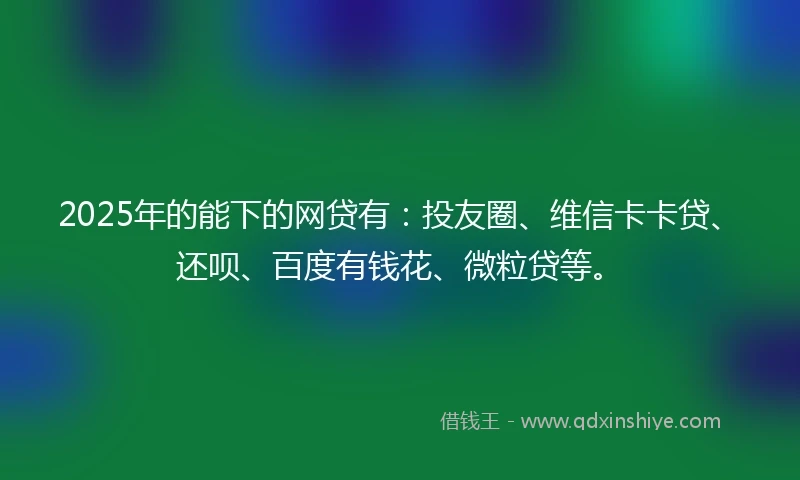 2025年的能下的网贷有：投友圈、维信卡卡贷、还呗、百度有钱花、微粒贷等。