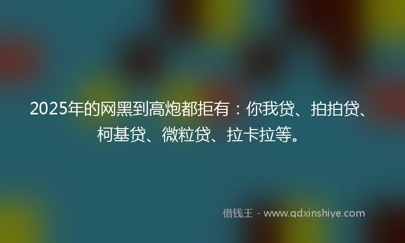 2025年的网黑到高炮都拒有：你我贷、拍拍贷、柯基贷、微粒贷、拉卡拉等。