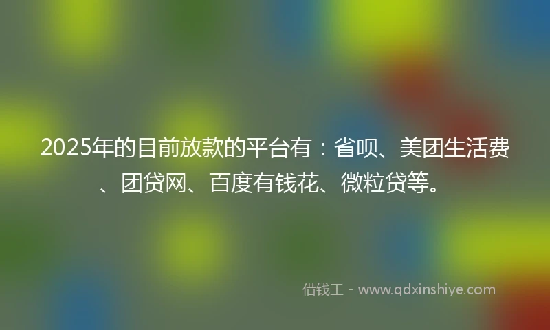 2025年的目前放款的平台有：省呗、美团生活费、团贷网、百度有钱花、微粒贷等。
