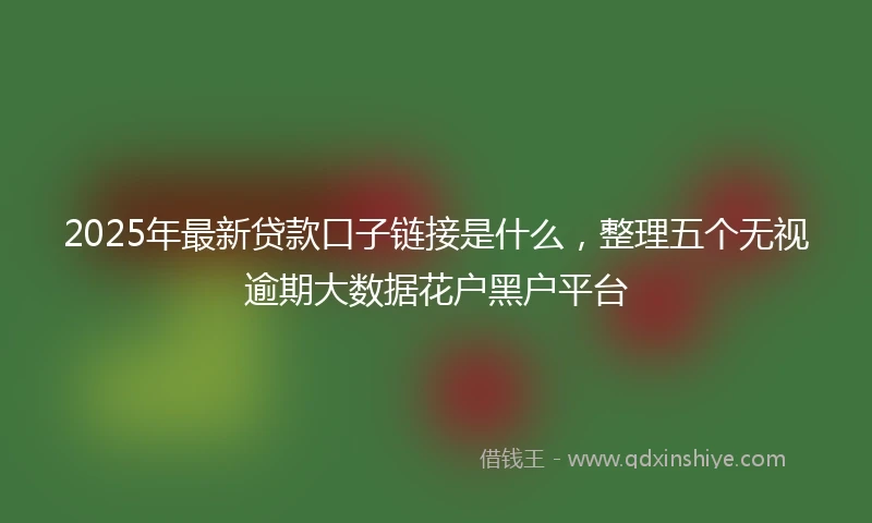 2025年最新贷款口子链接是什么，整理五个无视逾期大数据花户黑户平台