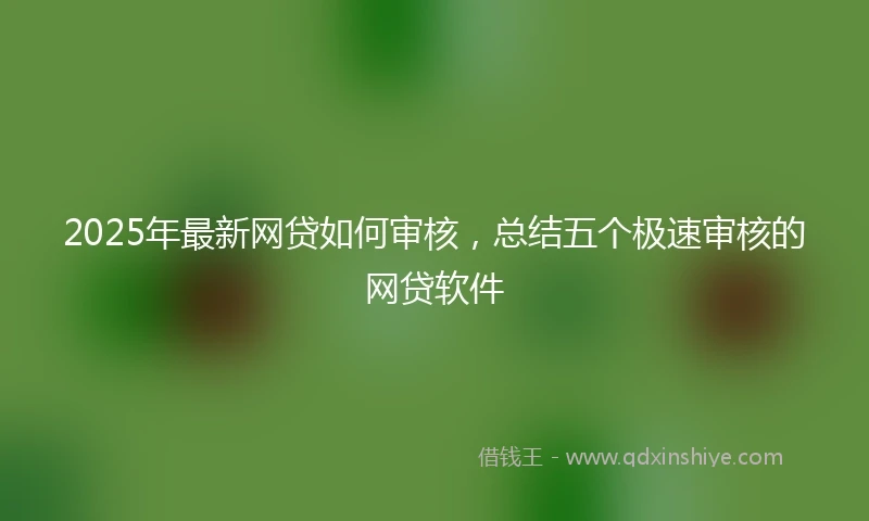 2025年最新网贷如何审核，总结五个极速审核的网贷软件