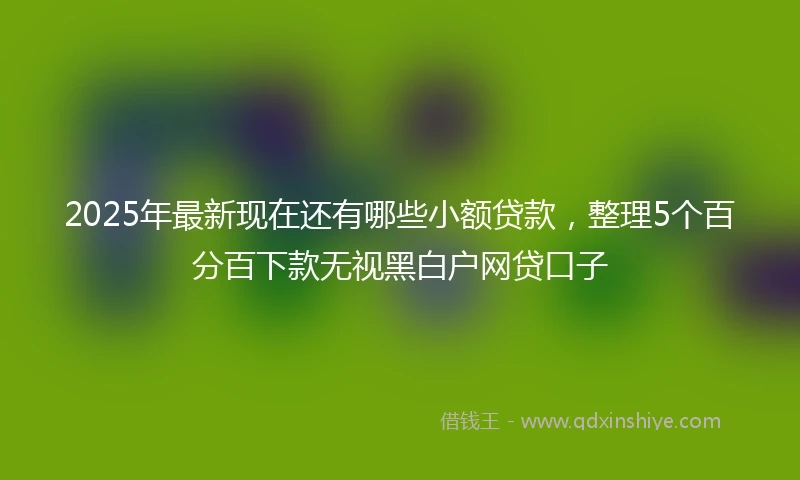 2025年最新现在还有哪些小额贷款，整理5个百分百下款无视黑白户网贷口子