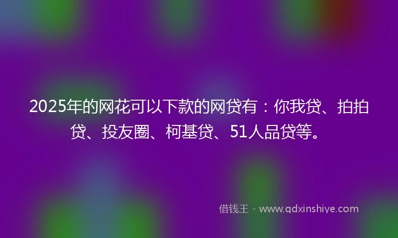 2025年的网花可以下款的网贷有：你我贷、拍拍贷、投友圈、柯基贷、51人品贷等。