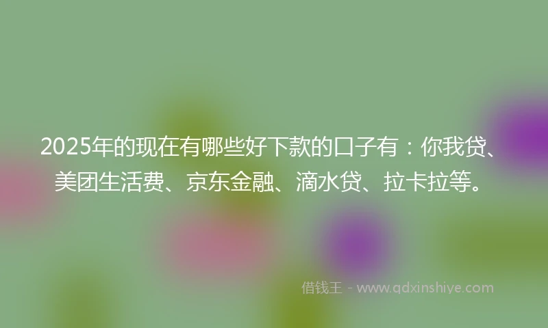 2025年的现在有哪些好下款的口子有：你我贷、美团生活费、京东金融、滴水贷、拉卡拉等。