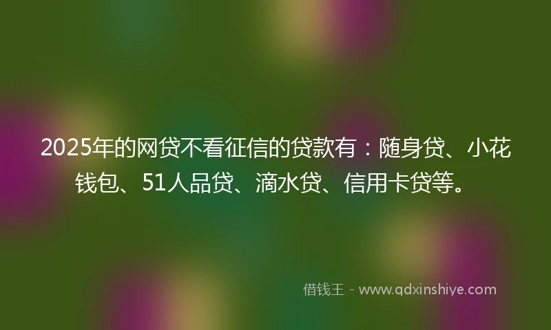2025年的网贷不看征信的贷款有：随身贷、小花钱包、51人品贷、滴水贷、信用卡贷等。
