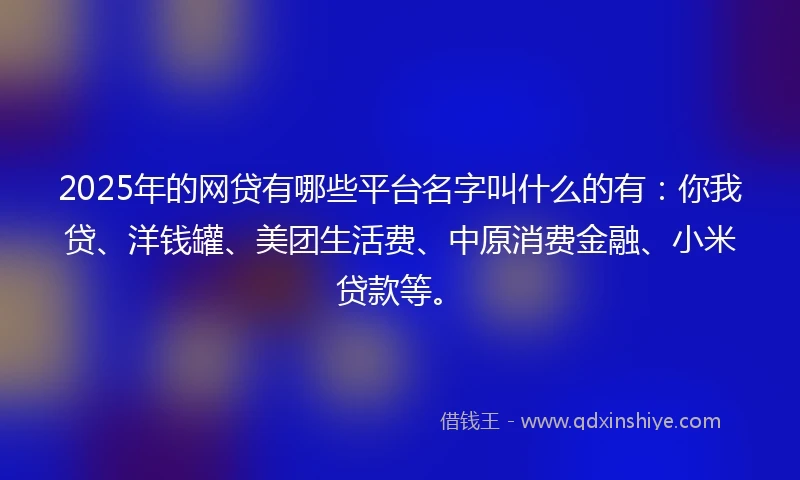 2025年的网贷有哪些平台名字叫什么的有：你我贷、洋钱罐、美团生活费、中原消费金融、小米贷款等。