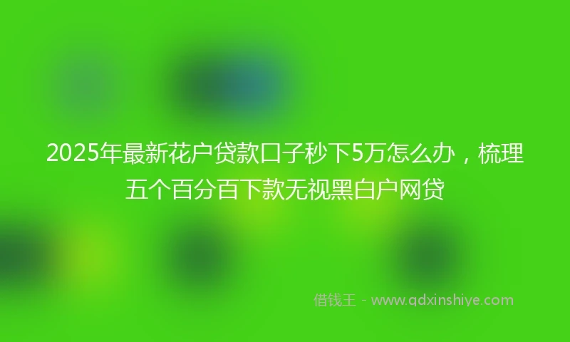 2025年最新花户贷款口子秒下5万怎么办，梳理五个百分百下款无视黑白户网贷