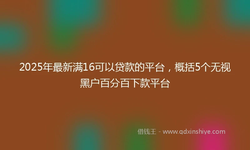 2025年最新满16可以贷款的平台，概括5个无视黑户百分百下款平台