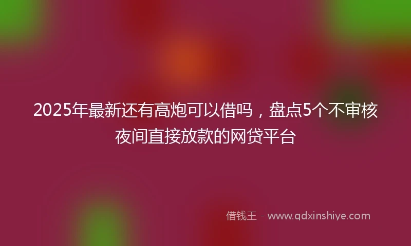 2025年最新还有高炮可以借吗,盘点5个不审核夜间直接放款的网贷平台