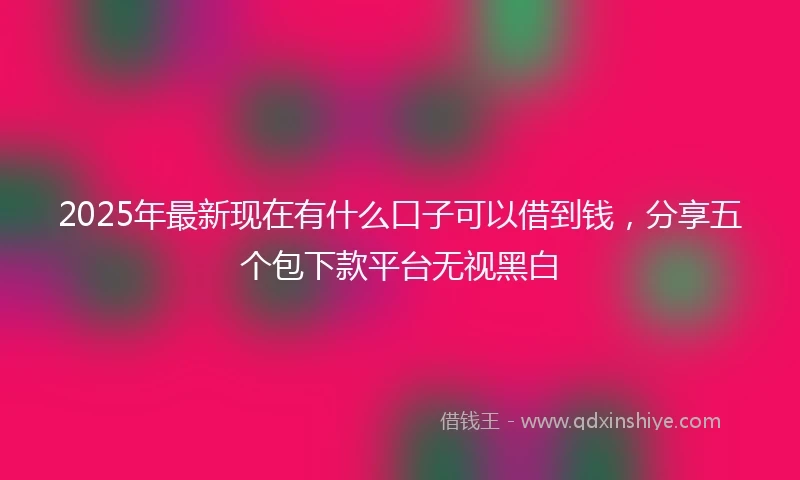 2025年最新现在有什么口子可以借到钱，分享五个包下款平台无视黑白