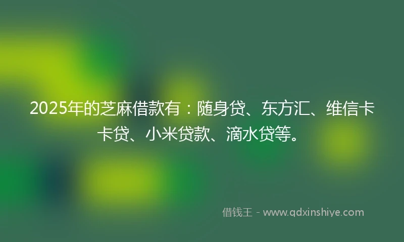 2025年的芝麻借款有：随身贷、东方汇、维信卡卡贷、小米贷款、滴水贷等。