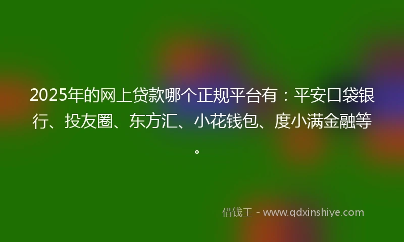 2025年的网上贷款哪个正规平台有：平安口袋银行、投友圈、东方汇、小花钱包、度小满金融等。