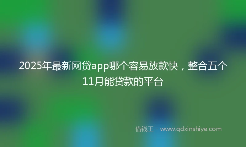 2025年最新网贷app哪个容易放款快，整合五个11月能贷款的平台