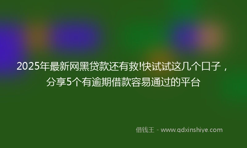 2025年最新网黑贷款还有救!快试试这几个口子，分享5个有逾期借款容易通过的平台